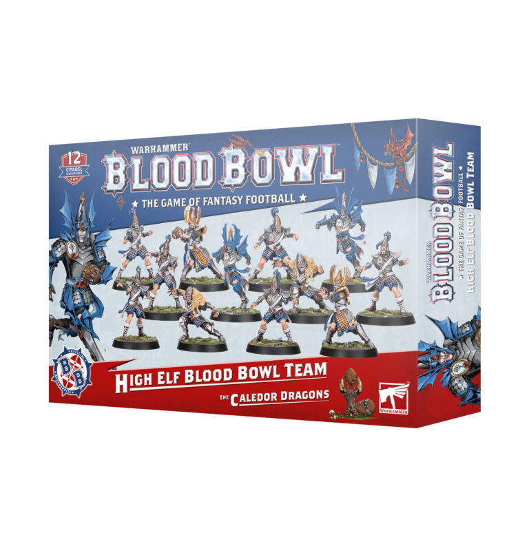 Games Workshop Blood Bowl Warhammer The Old World High Elves Team Caledor Dragons